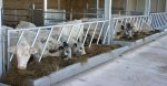 2-in-1-units-with-sheeted-troughs-1-862x449.jpg