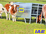 IAE Portable Cattle Feeding