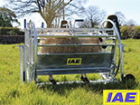 IAE Sheep Handling